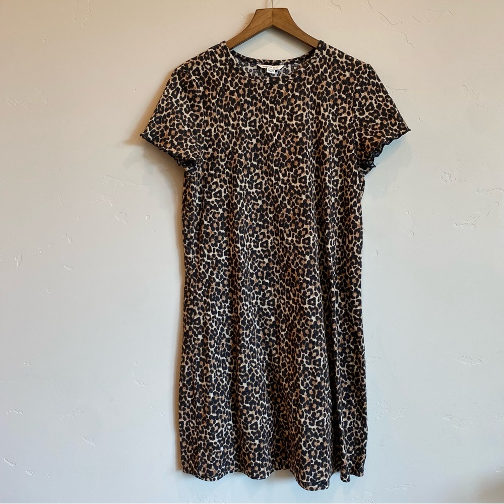 American Eagle Outfitters Leopard Print Dress